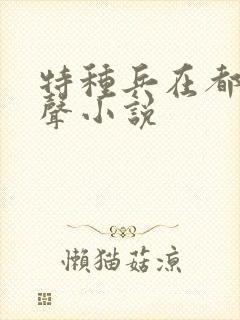 特种兵在都市有声小说