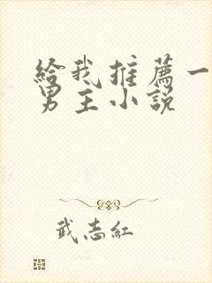 给我推荐一篇双男主小说