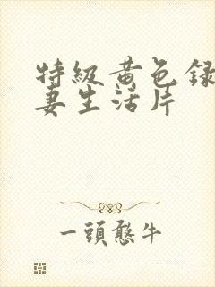 特级黄色录像夫妻生活片