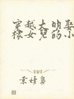 穿越大明娶了朱棣女儿的小说