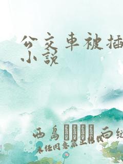 公交车被插高潮小说