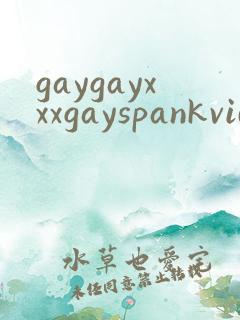 gaygayxxxgayspankvideos