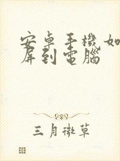 安卓手机如何投屏到电脑