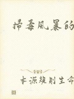 扫毒风暴的原型