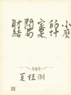 财阀家的小儿子结局是什么