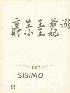 重生王爷溺宠贪财小王妃