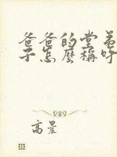 爸爸的堂弟的儿子怎么称呼