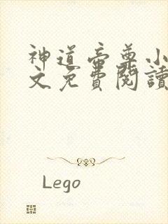 神道帝尊小说全文免费阅读无弹窗