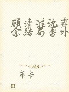 顾清淮沈霁禾乔念结局番外