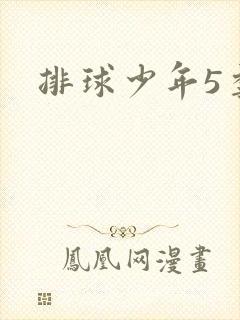 排球少年5季