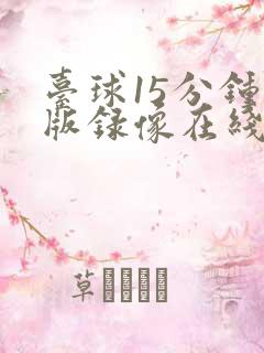 台球15分钟原版录像在线