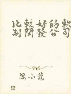 比较好的软件定制开发公司