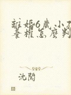 离婚6岁小孩抚养权怎么判定