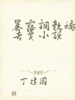 暴露调教娇妻出去卖小说