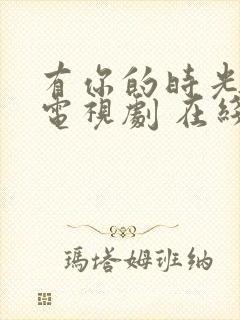 有你的时光里 电视剧 在线观看