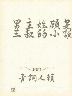 男主姓顾是女主三叔的小说