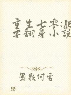 重生七零:肥妻要翻身小说