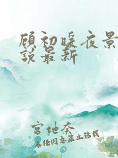 顾初暖夜景寒小说最新