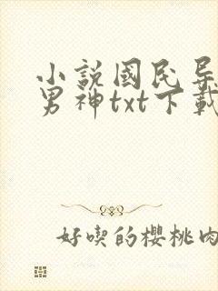 小说国民导演是男神txt下载