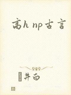 高h np古言