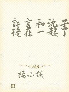 许言和沈子畅最后在一起了吗