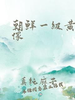 朝鲜一级黄色录像