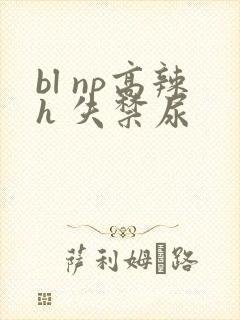 bl np高辣h 失禁尿