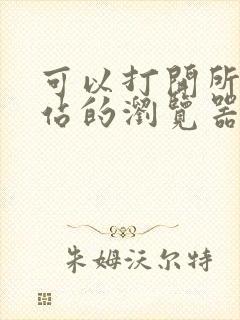 可以打开所有网站的浏览器