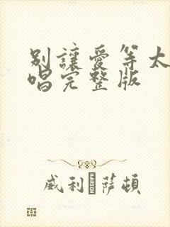 别让爱等太久原唱完整版