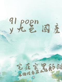 91 popny 九色 国产在线