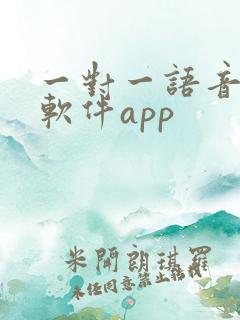 一对一语音聊天软件app