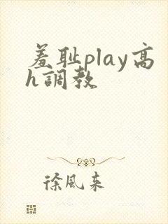 羞耻play高h调教