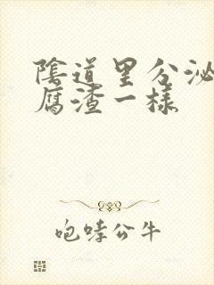 阴道里分泌物豆腐渣一样