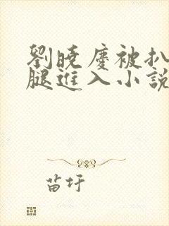 刘晓庆被扒开双腿进入小说