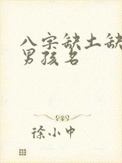 八字缺土缺金的男孩名