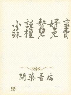 小说赘婿宁毅/苏檀儿免费完本