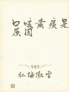 口咳黄痰是什么原因