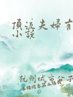 顶流夫妇有点甜小说