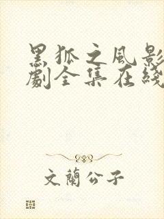 黑狐之风影电视剧全集在线观看完整版免费