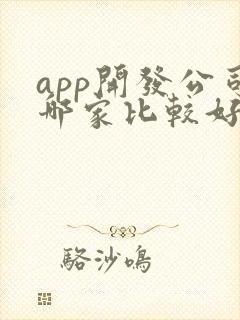 app开发公司哪家比较好