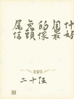 属兔的用什么微信头像最好