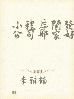 小程序开发定制公司哪家好