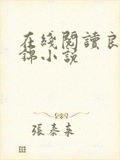 在线阅读良陈美锦小说