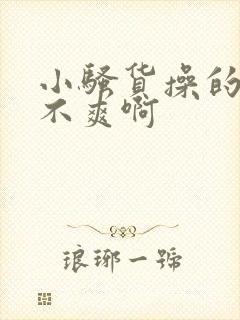 小骚货操的你爽不爽啊