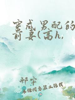 穿成男配的炮灰前妻(高h,