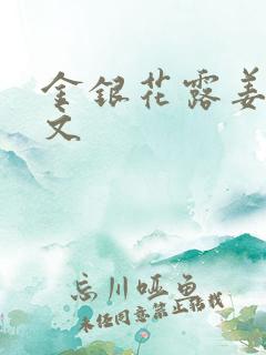 金银花露姜可原文