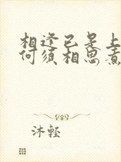 相逢已是上上签何须相思煮流年