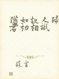 犹如故人归,与君初相识