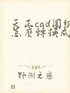 天正cad图纸怎么转换成pdf格式