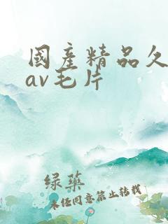 国产精品久久久av毛片